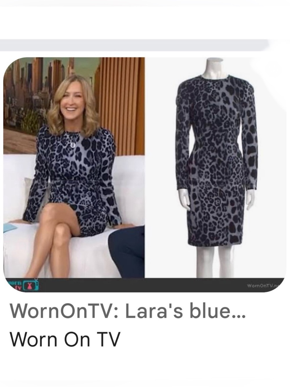 PER SE by CARLISLE • GORGEOUS Silk Gray Blue & Black Leopard Long Sleeve Dress - Picture 15 of 16